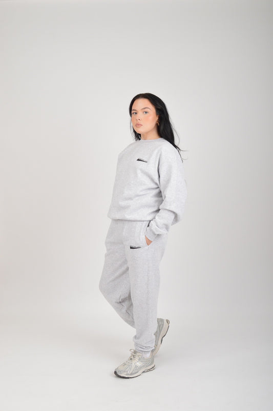 Basics Joggers- ASH